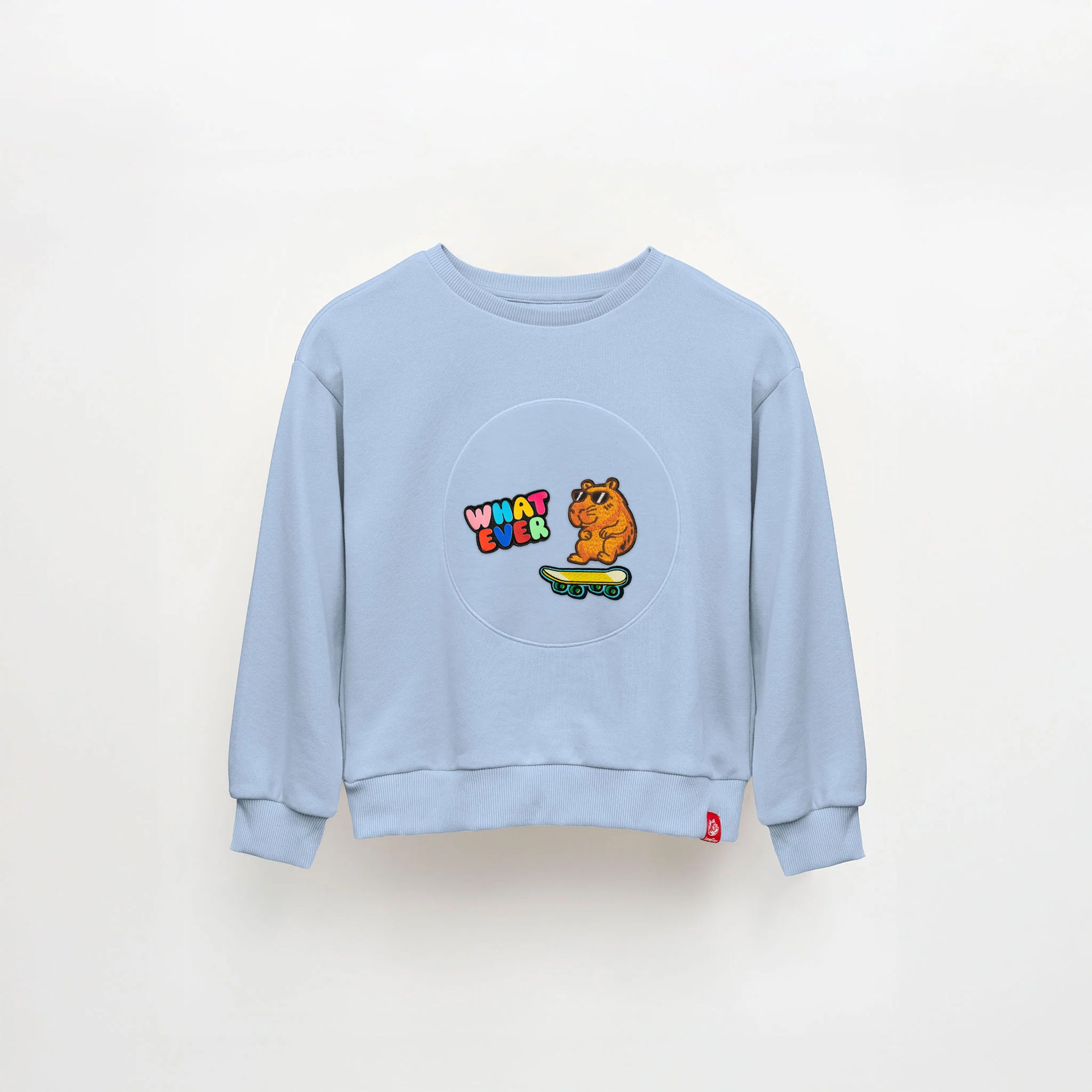 Mavi Sweatshirt